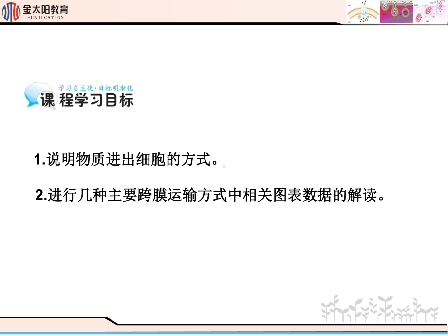 《物质跨膜运输的方式》导学案课件.ppt_第2页