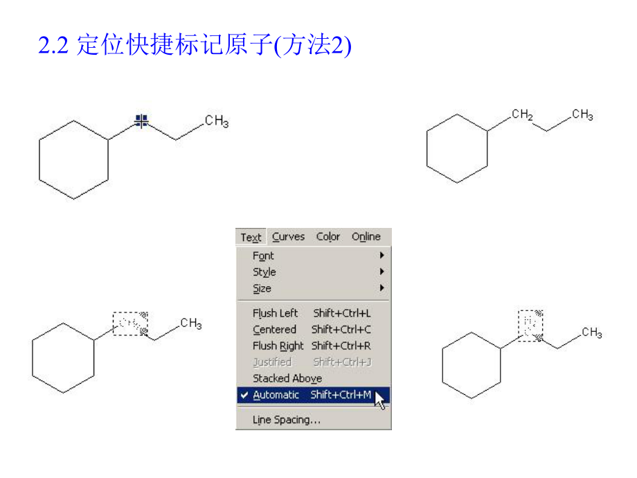 化学结构绘制高级技巧课件.ppt_第2页