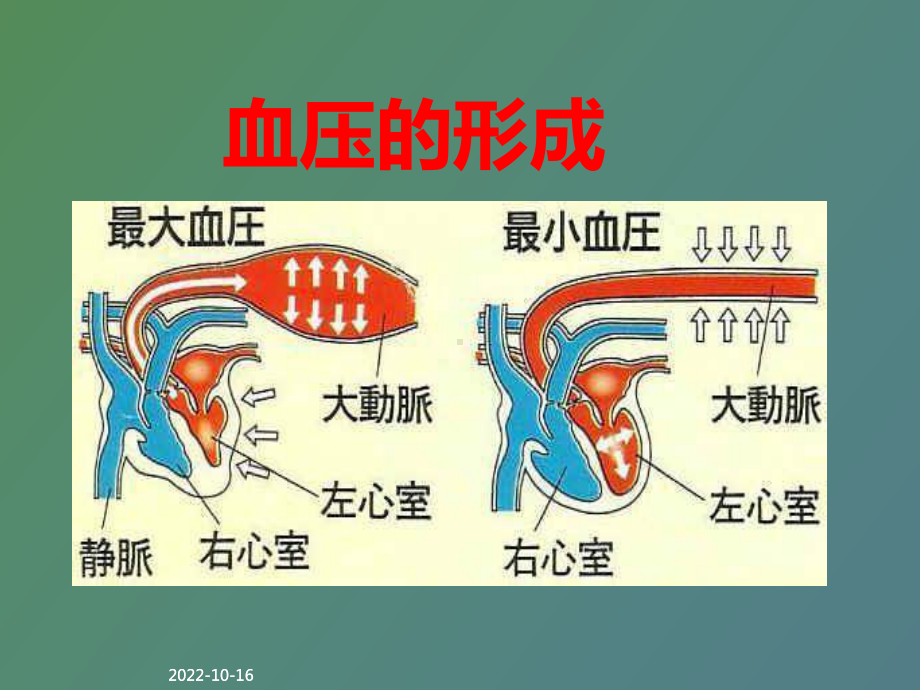 （课件）内科常见病的诊治.ppt_第3页