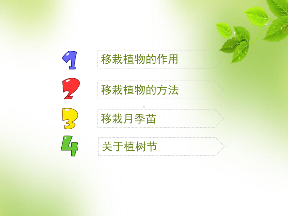 《移栽植物苗》教学课件.ppt_第2页