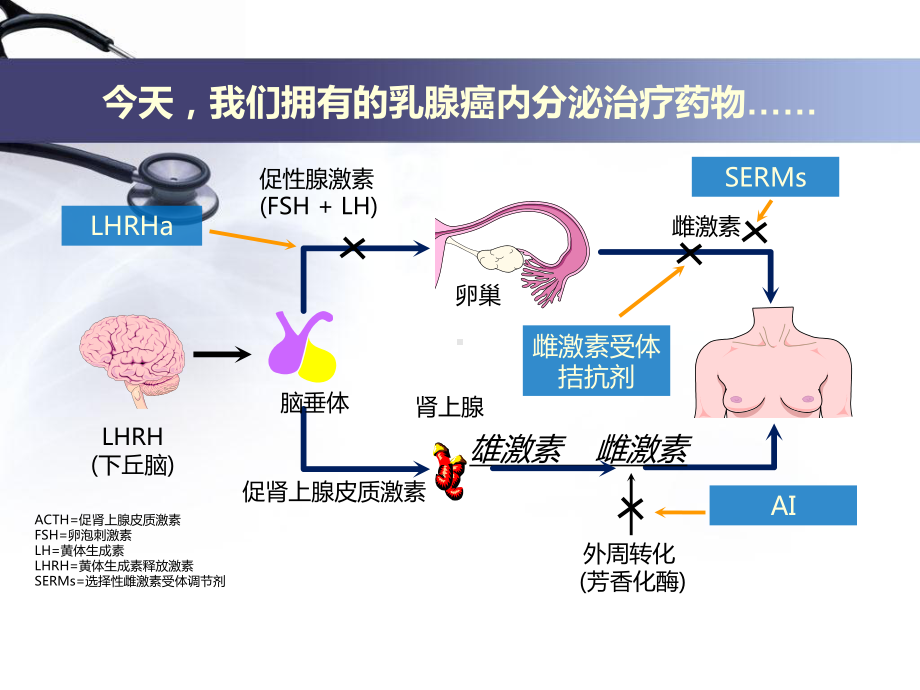 从指南变化解读内分泌治疗的重要性课件.ppt_第3页