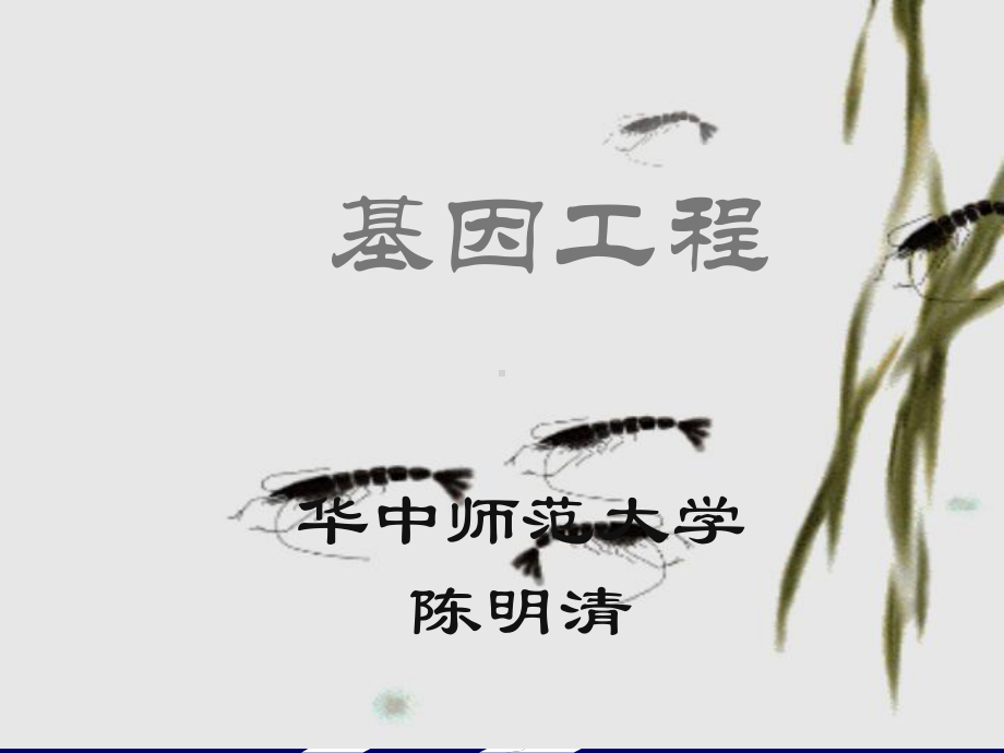 基因工程概论课件.ppt_第1页