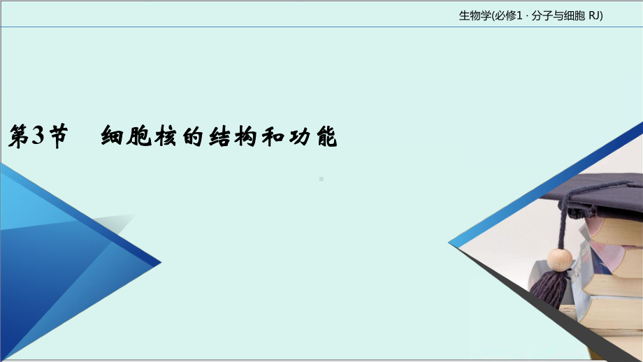 《细胞核的结构和功能》公开课课件高生物人教版1.ppt_第2页