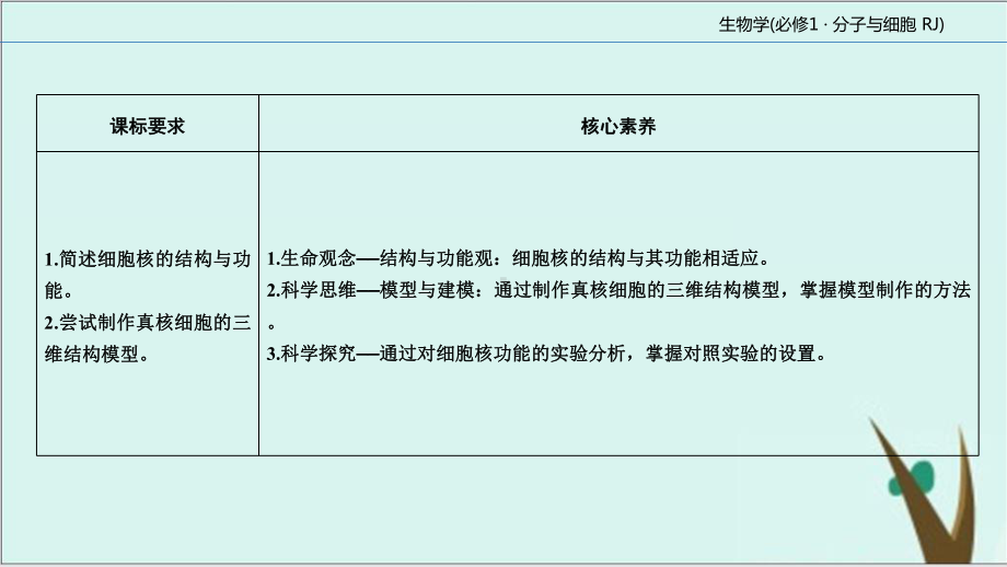 《细胞核的结构和功能》公开课课件高生物人教版1.ppt_第3页