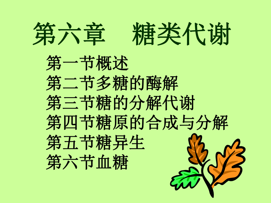 六章糖类代谢课件.ppt_第1页