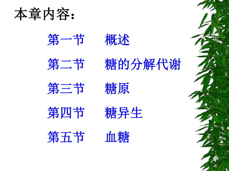 六章糖类代谢课件.ppt_第2页