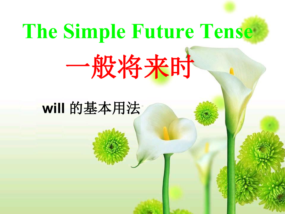 一般将来时-will-的用法课件.ppt_第3页