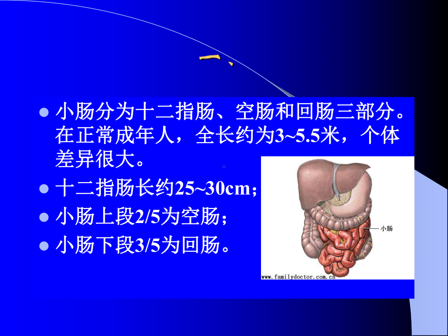 《小肠疾病》课件.ppt_第3页