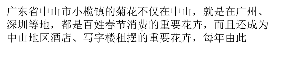 中山小榄菊更香教学课件.pptx_第1页