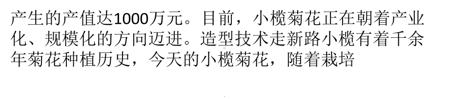 中山小榄菊更香教学课件.pptx_第2页