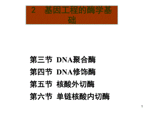 基因工程的酶学基础课件.ppt