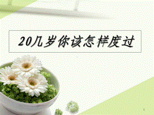 《淡雅小盘菊花》课件.ppt