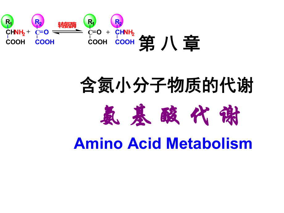 《生物化学》Chapter-8-含氮小分子物质的代谢课件.ppt_第1页