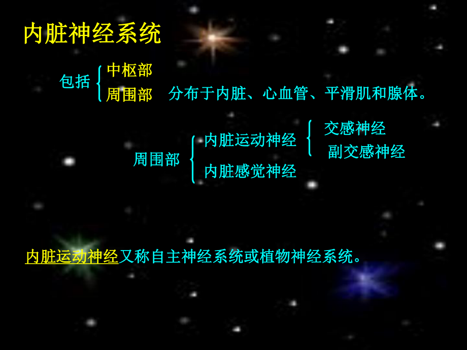 内脏神经传导通路-课件.ppt_第2页