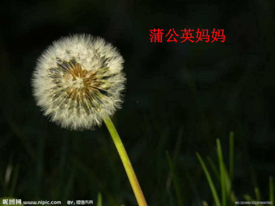 《植物妈妈有办法》第二课时课件.ppt_第3页