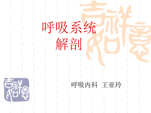 呼吸系统解剖-课件.ppt