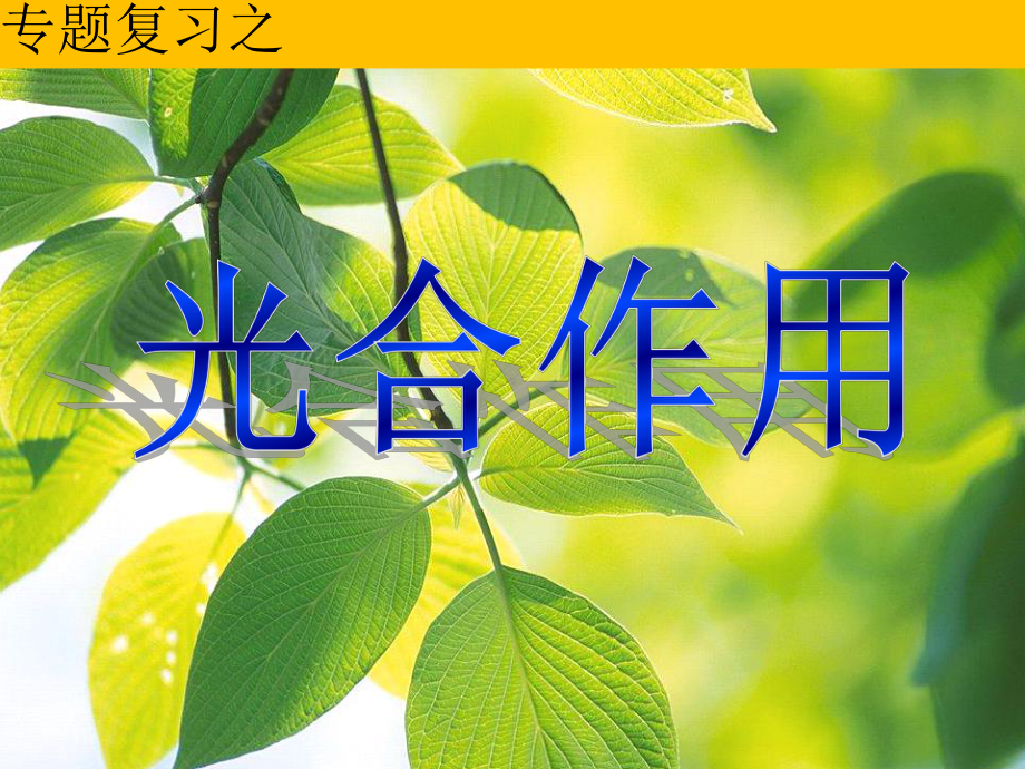 《光合作用》专题复习课件.ppt_第1页