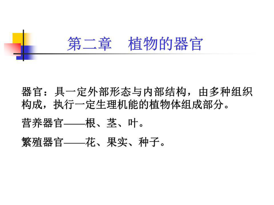 《植物的器官》课件.ppt_第1页