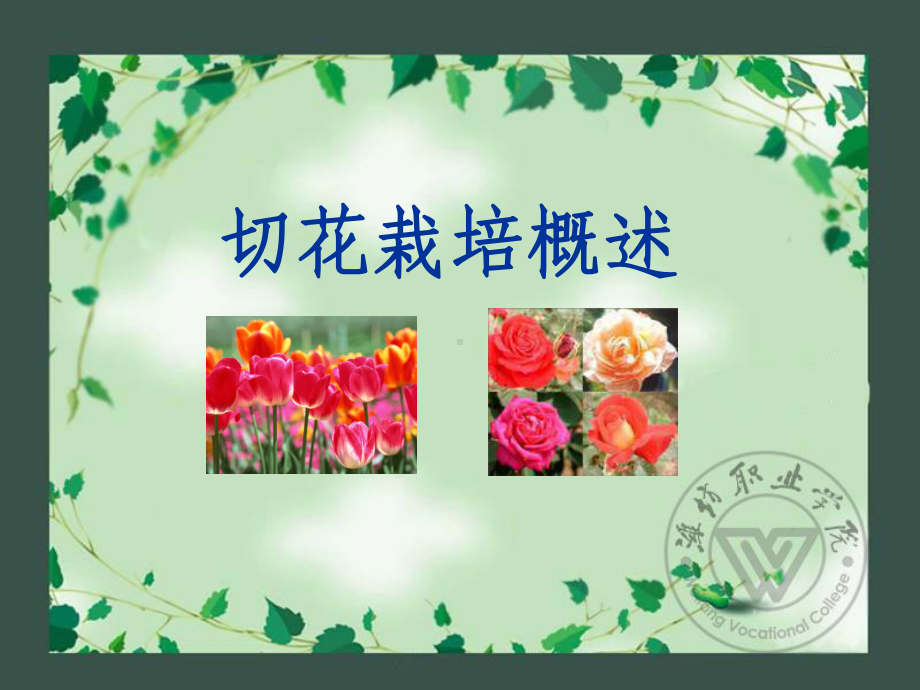 切花周年生产技术课件.ppt_第1页