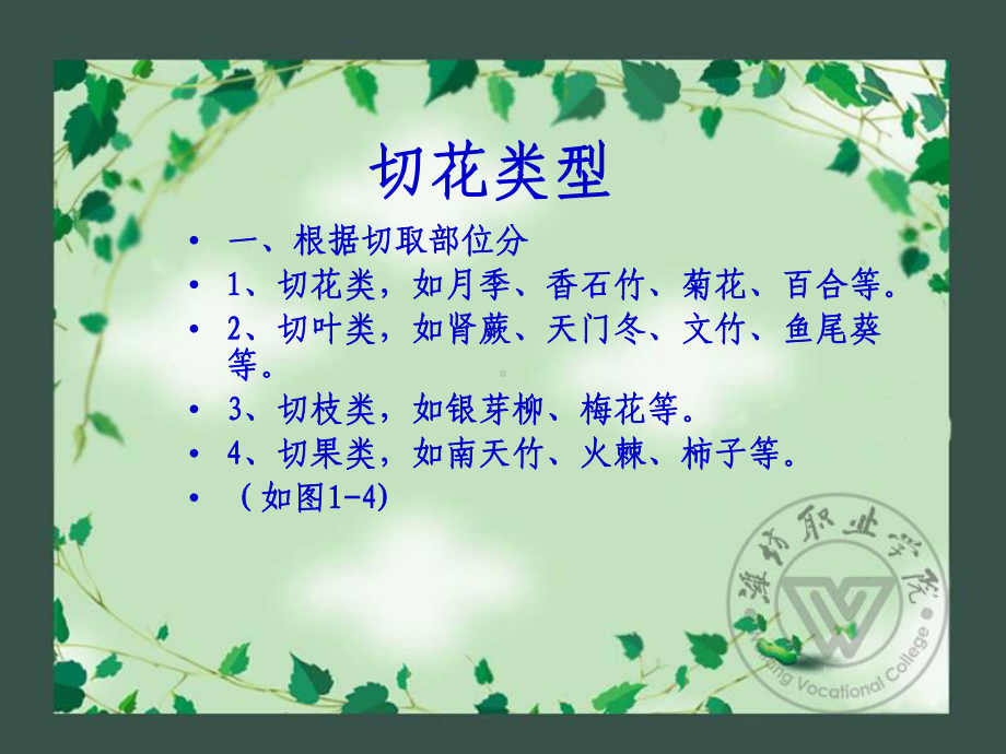 切花周年生产技术课件.ppt_第3页