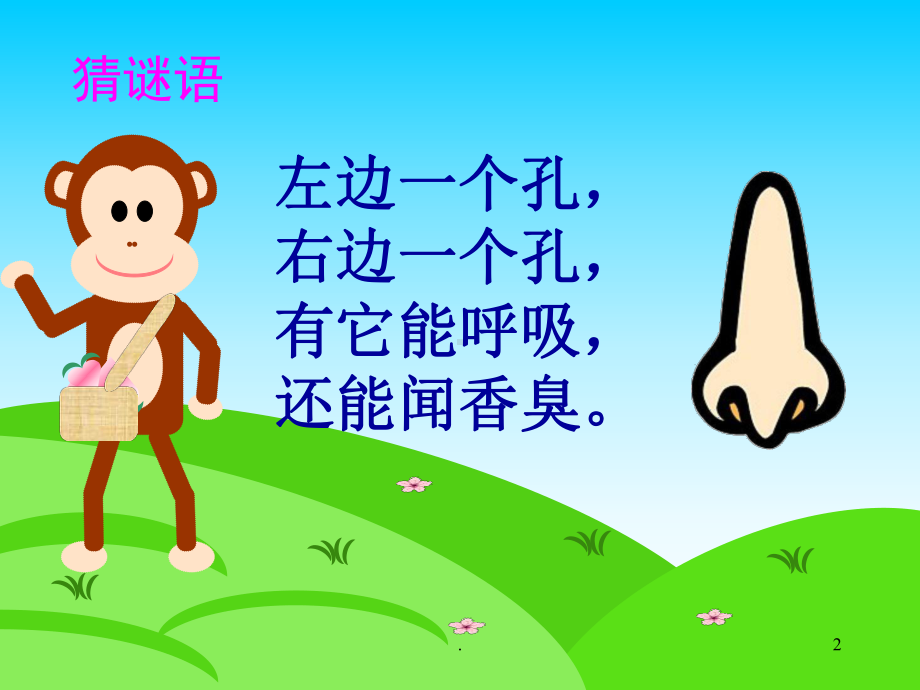 保护鼻子医学课件.ppt_第2页