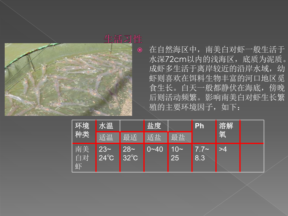 南美白对虾分解课件.ppt_第3页