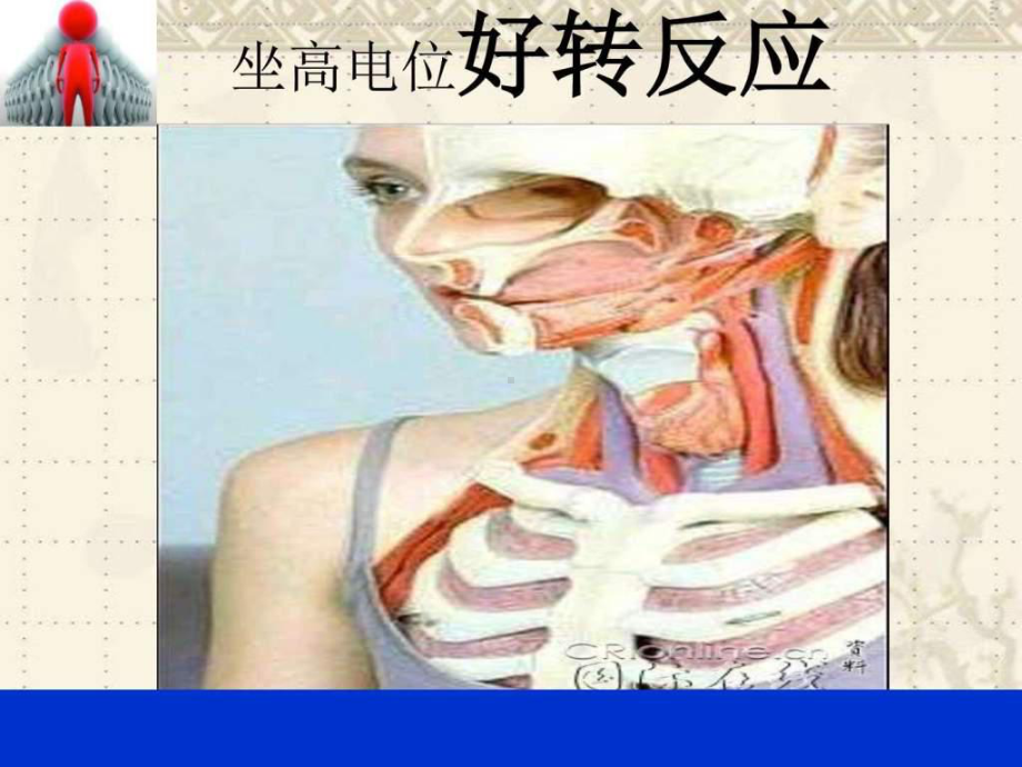 各种疾病坐高电位后好转反应-课件.ppt_第1页