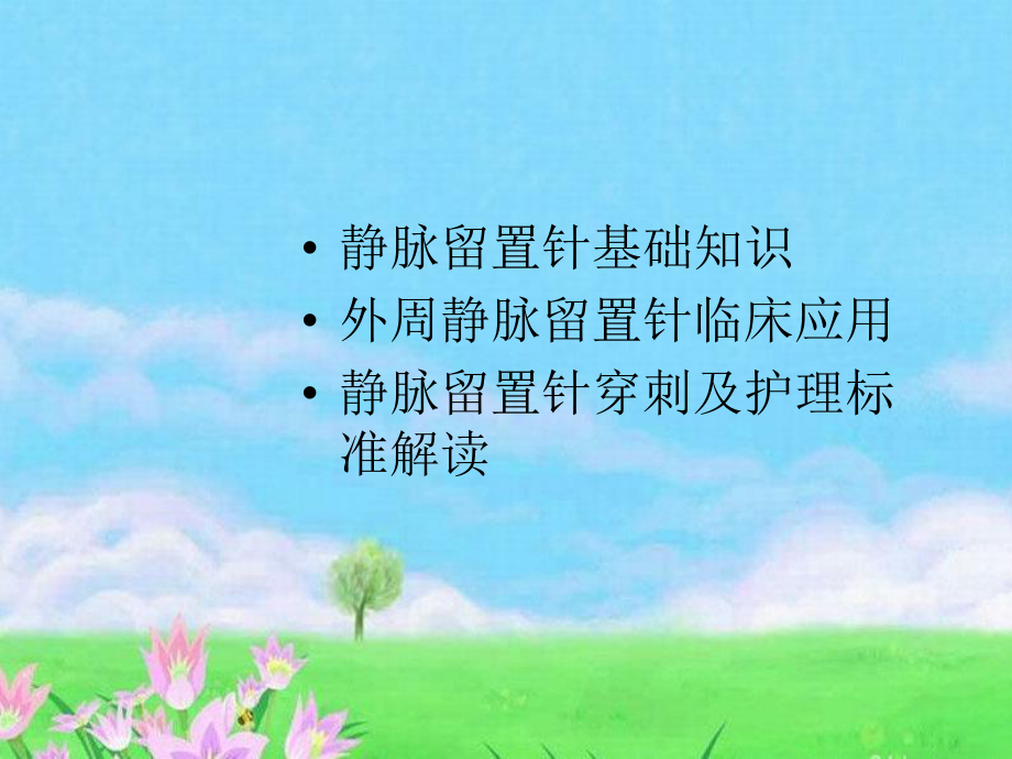 外周静脉留置针的临床应用课件.ppt_第2页