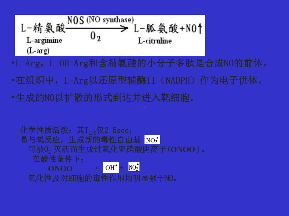 dayin一氧化氮与心血管疾病课件.ppt_第1页