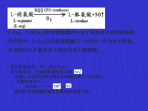 dayin一氧化氮与心血管疾病课件.ppt