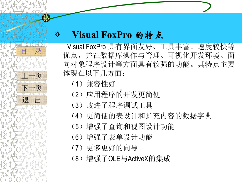 《VFP系统简介》课件.ppt_第2页