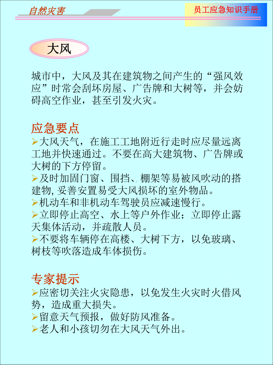 员工应急培训知识手册课件.ppt_第2页