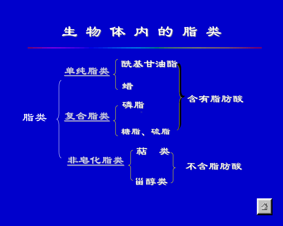 基础生物化学第7章课件.ppt_第3页