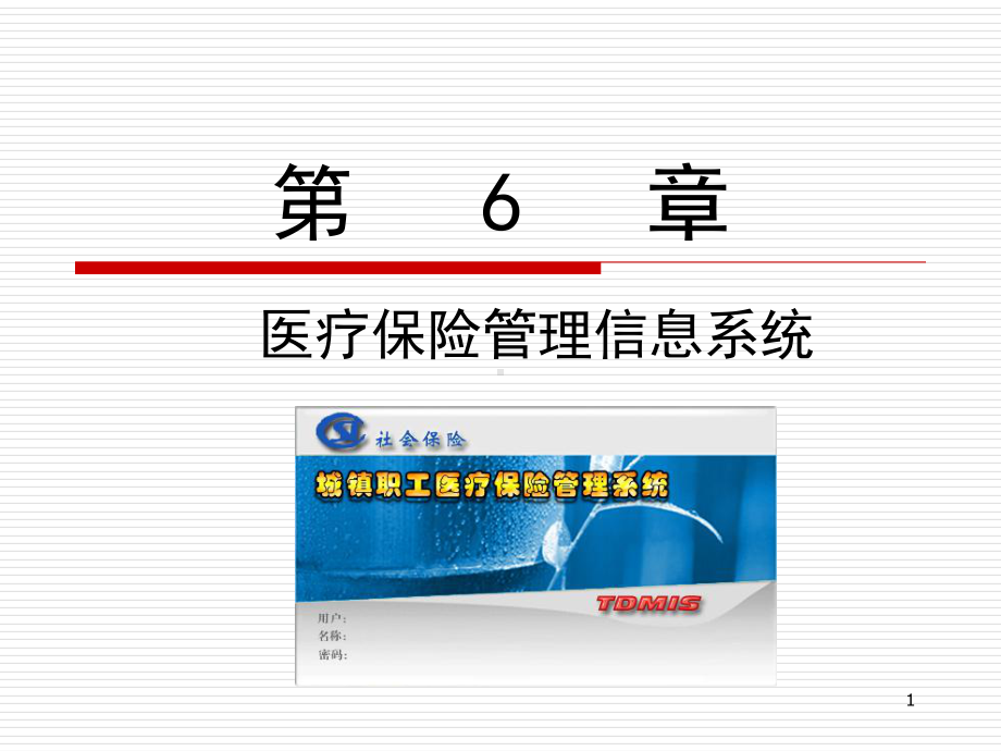 医疗保险管理信息系统教学课件.ppt_第1页