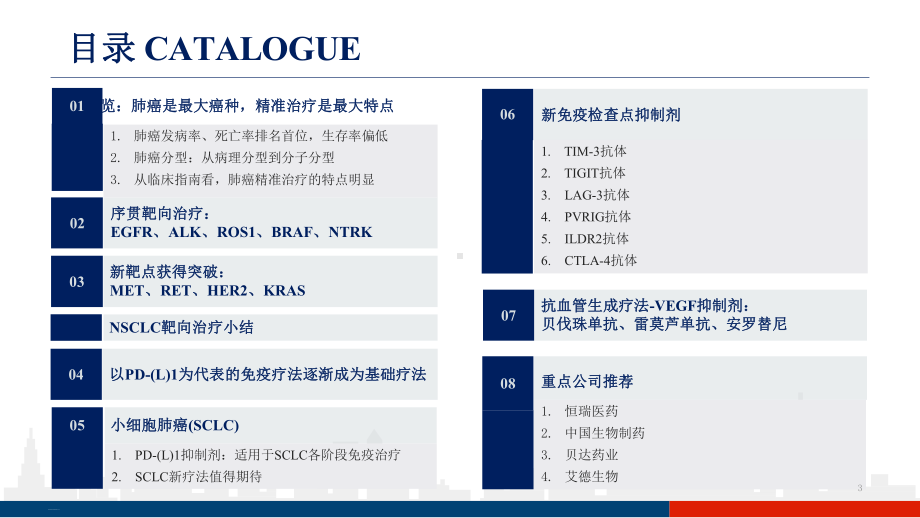 从nccn和csco指南看肺癌药物市场(2020)课件.pptx_第3页