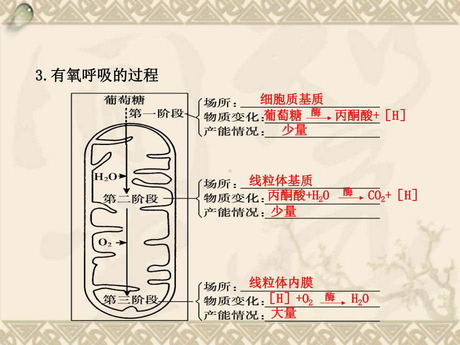 （金版方案）高考生物一轮复习“学案”第10讲-细胞呼吸课件-新人教版.ppt_第3页