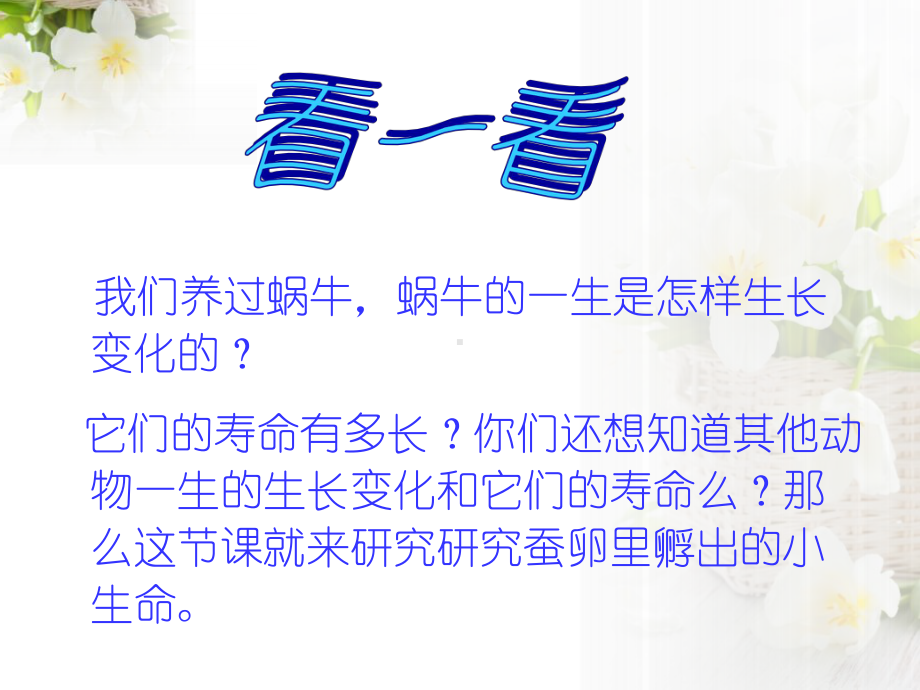 《蚕宝宝出生了》-我们来养蚕课件24.pptx_第2页