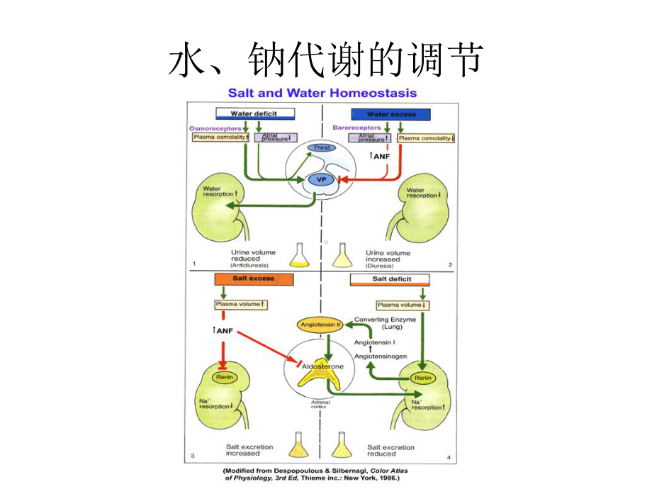 低钠血症鉴别诊断-39张课件.ppt_第2页