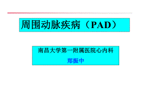 周围动脉疾病PAD课件.ppt