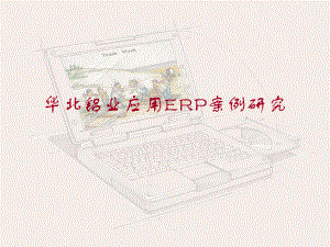 ERP项目的案例课件.ppt