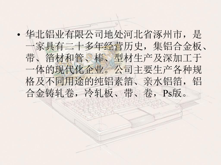 ERP项目的案例课件.ppt_第2页