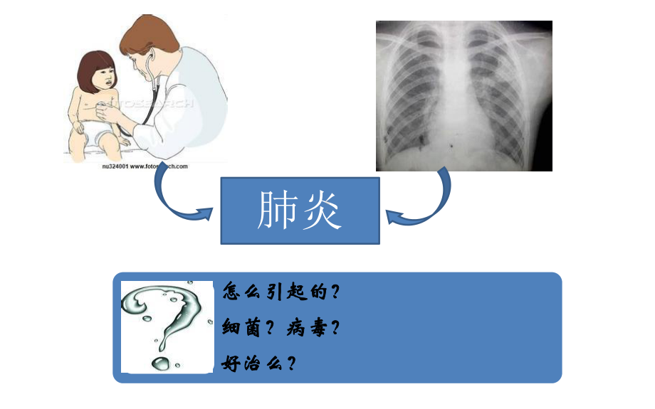 从指南更新看非典型病原体地位课件.ppt_第2页