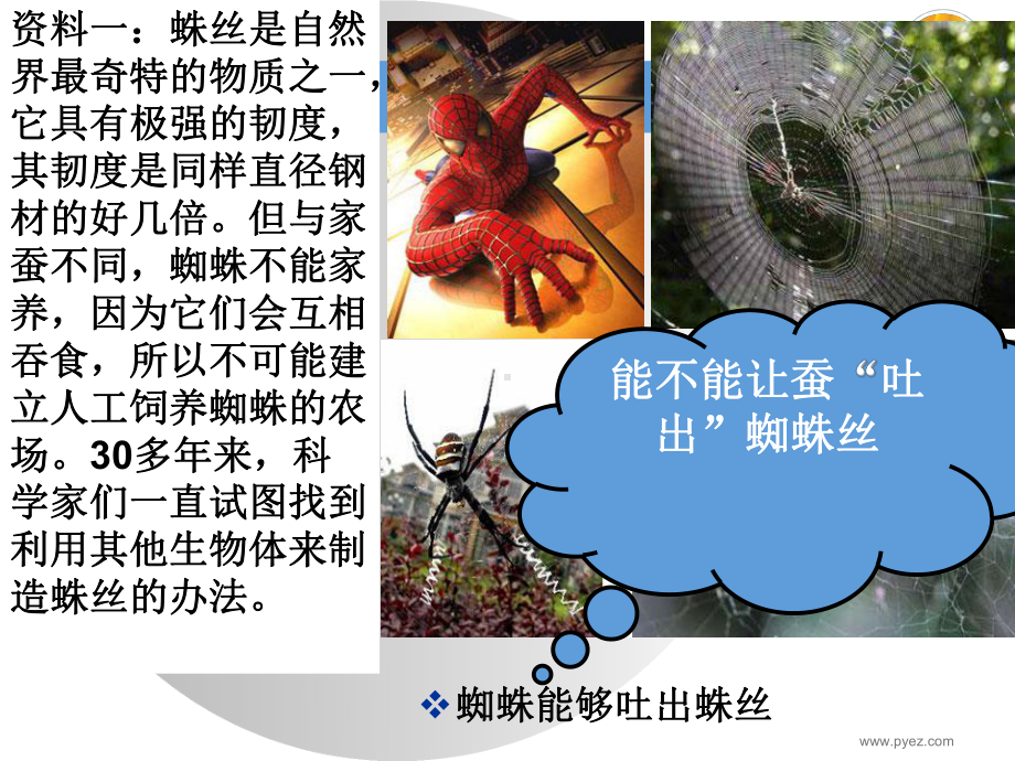 基因工程(公开课)课件.ppt_第2页