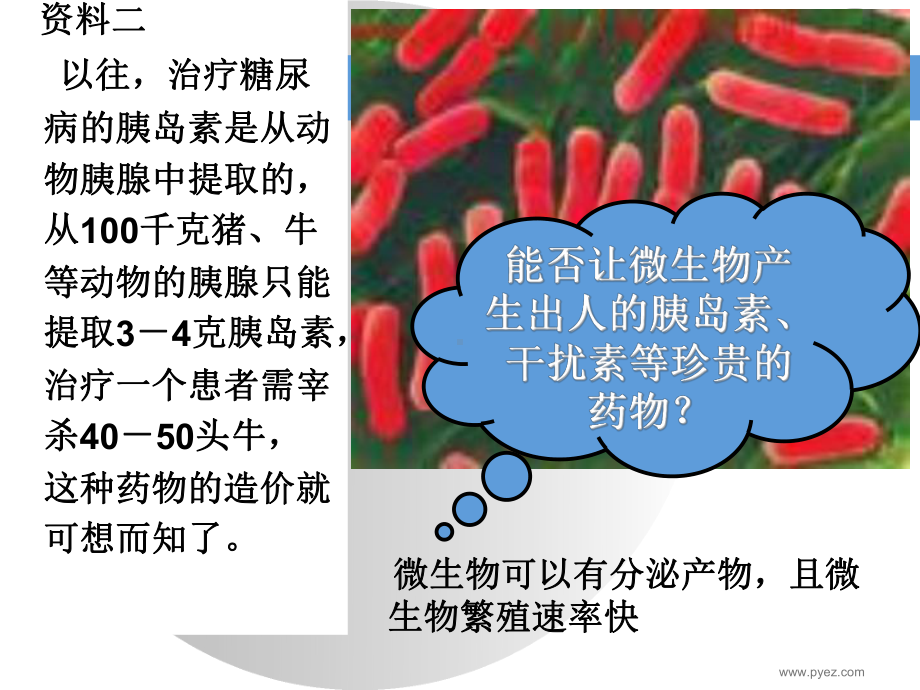 基因工程(公开课)课件.ppt_第3页