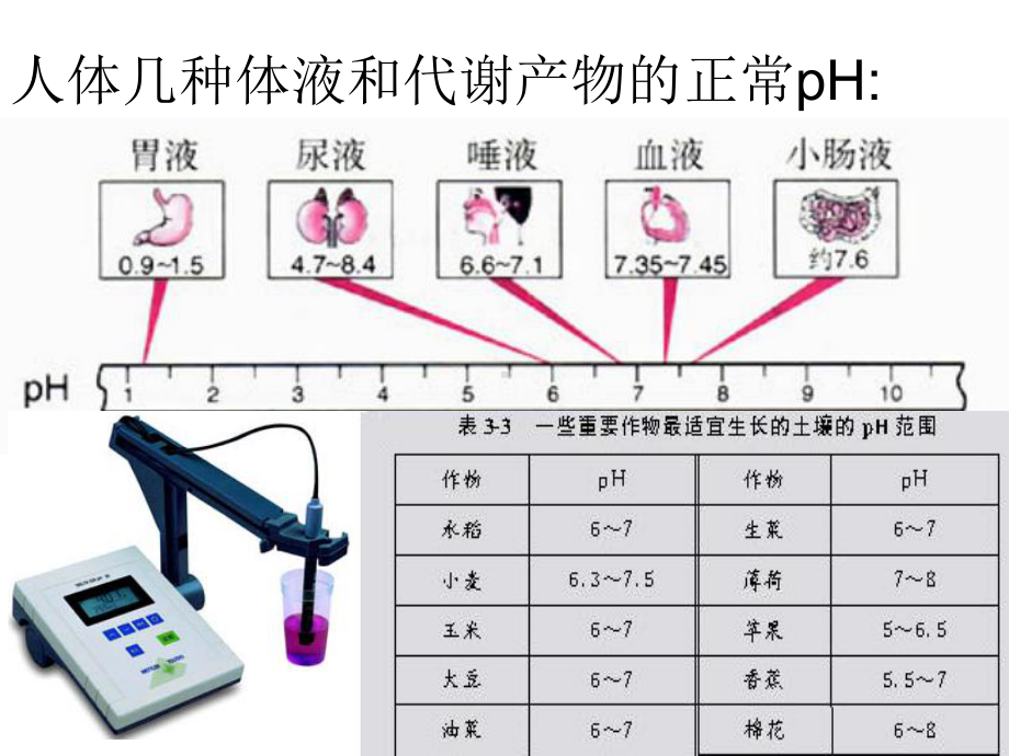 《pH的应用》-人教课标版课件.ppt_第2页