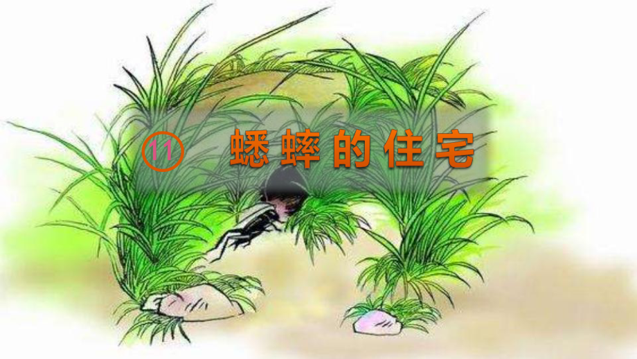 《蟋蟀的住宅》完美版(共77张)课件.pptx_第1页