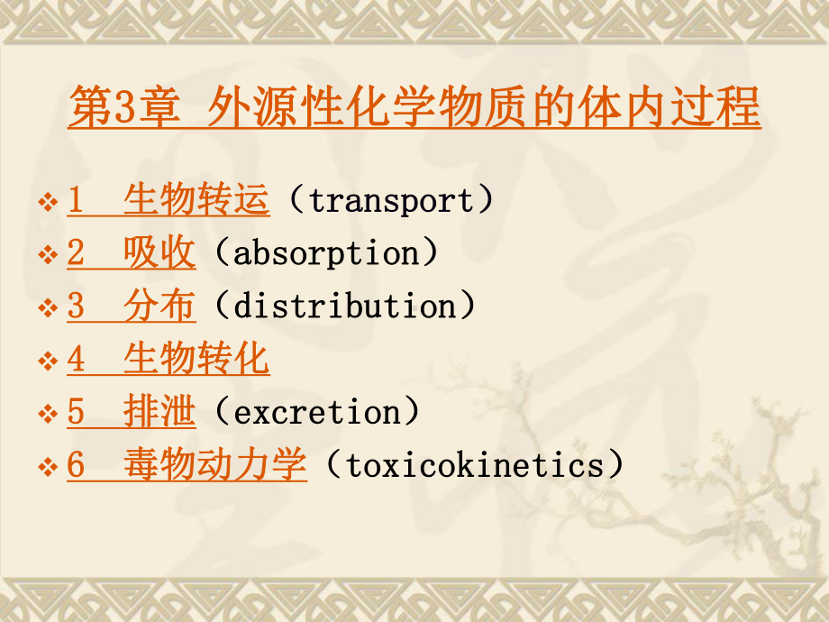 外源性化学物质的体内过程课件.ppt_第2页