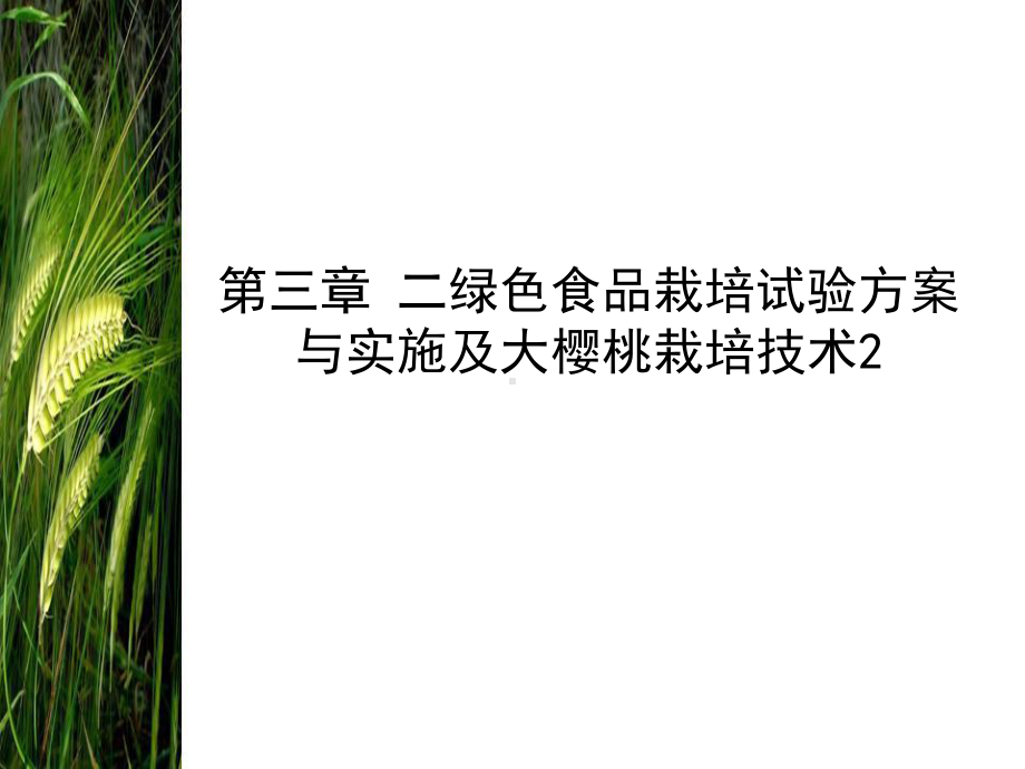 三章二绿色食品栽培试验方案与实施及大樱桃栽培技术2P课件.ppt_第1页