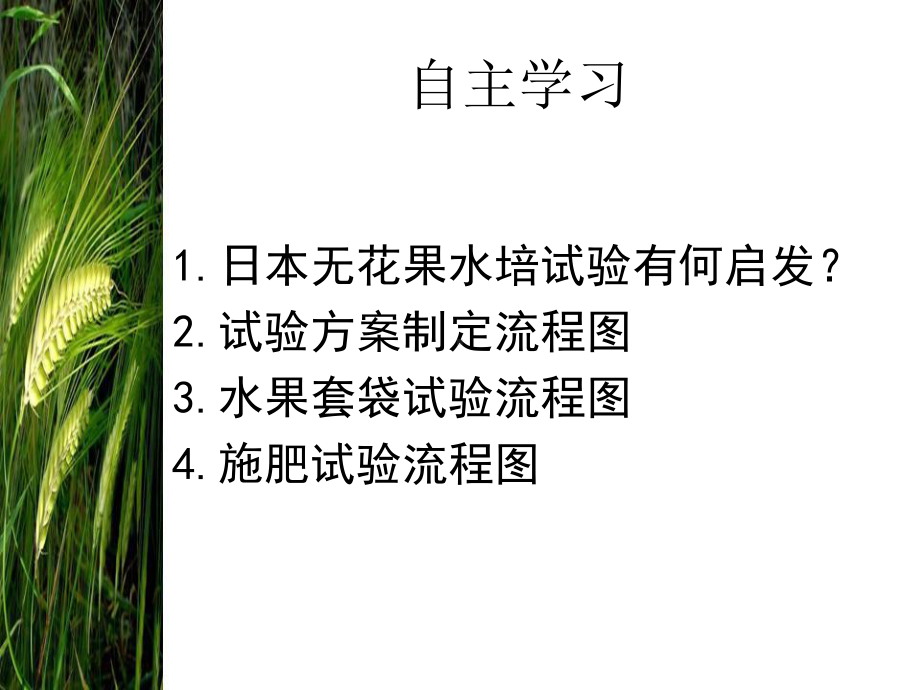 三章二绿色食品栽培试验方案与实施及大樱桃栽培技术2P课件.ppt_第3页