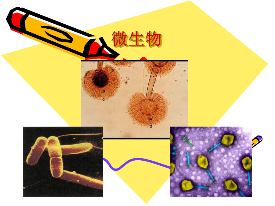 一段时间后讲解课件.ppt_第2页